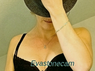 Evastonecam