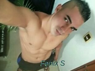 Fenix_S