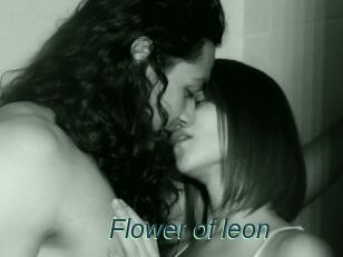 Flower_of_leon