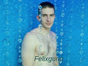 Felixgunn