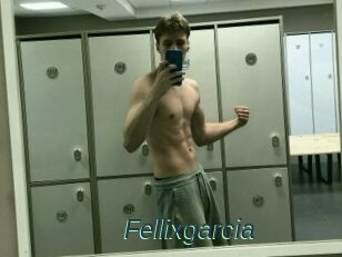 Fellixgarcia