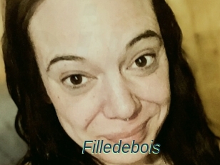 Filledebois