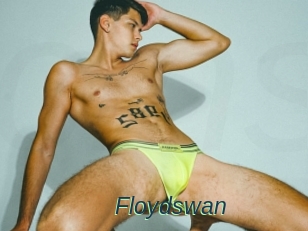 Floydswan