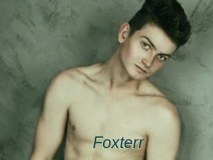 Foxterr