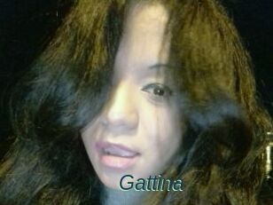 Gattina