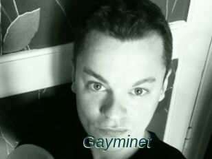 Gayminet