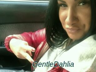 GentleDahlia