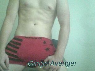 GingerAvenger