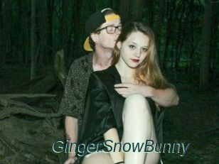 GingerSnowBunny