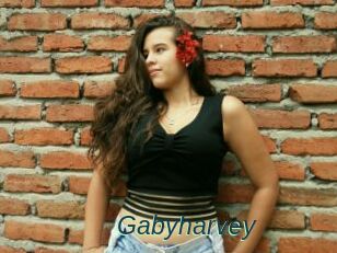 Gabyharvey