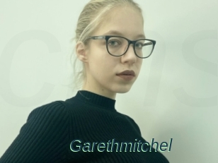 Garethmitchel