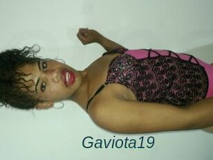 Gaviota19