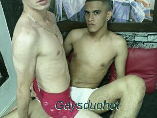 Gaysduohot