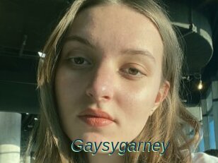 Gaysygarney