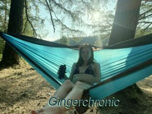 Gingerchronic