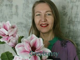 Greybunny