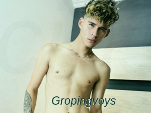 Gropingvoys