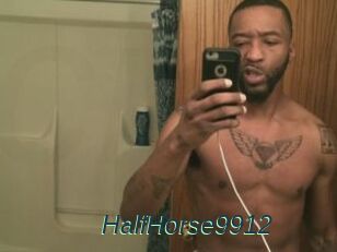 HalfHorse9912