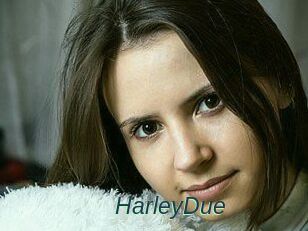 Harley_Due