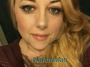 Harlow_Mae