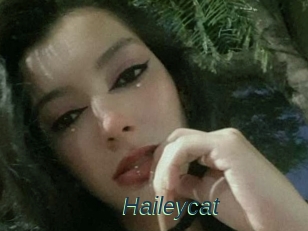 Haileycat