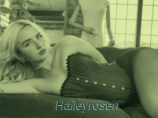 Haileyrosen