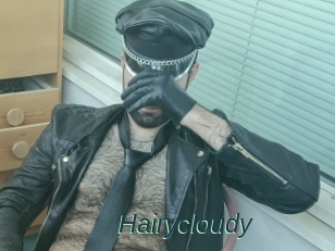 Hairycloudy