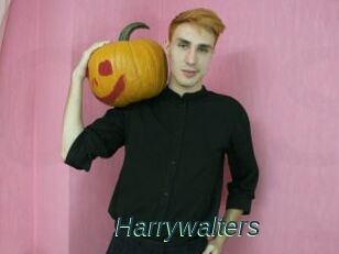 Harrywalters