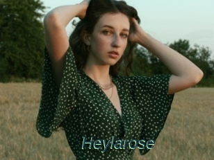 Heylarose