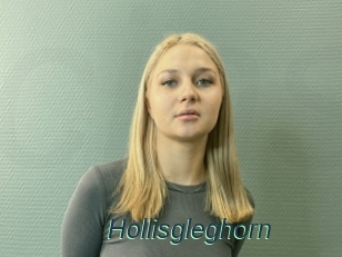 Hollisgleghorn