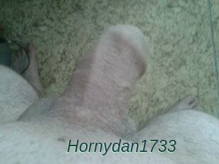 Hornydan1733