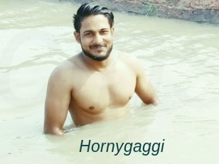 Hornygaggi