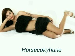 Horsecokyhurie