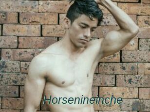 Horsenineinche