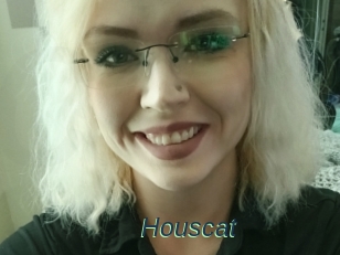 Houscat