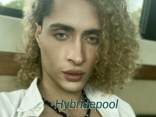 Hybridepool