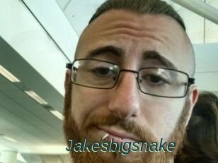 Jakesbigsnake