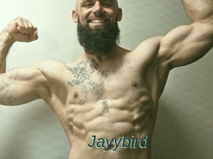 Jayybird