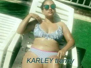 KARLEY_tranny