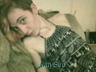 KittyBird