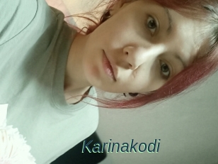 Karinakodi