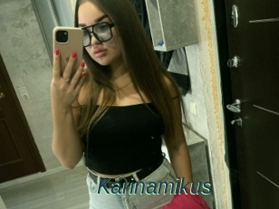 Karinamikus