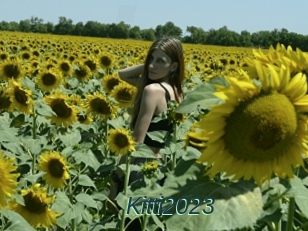 Kitti2023