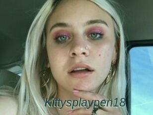 Kittysplaypen18