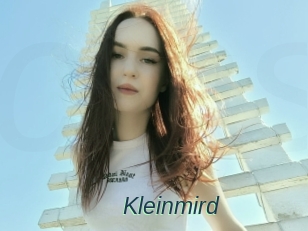 Kleinmird