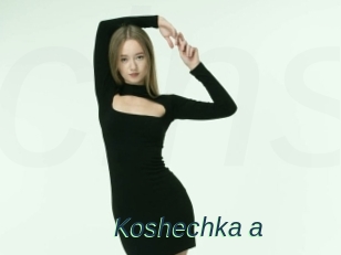 Koshechka_a