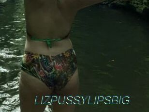 LIZPUSSYLIPSBIG