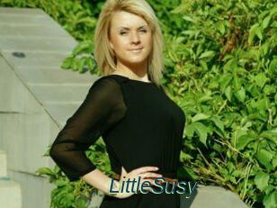 LittleSusy