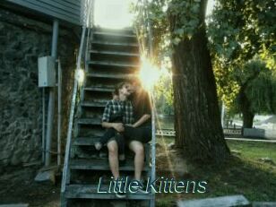 Little_Kittens