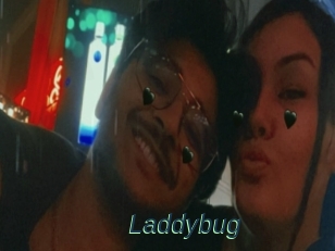 Laddybug